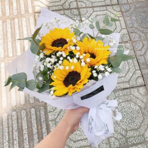 SUNFLOWER MIX BABY – SMALL SIZE