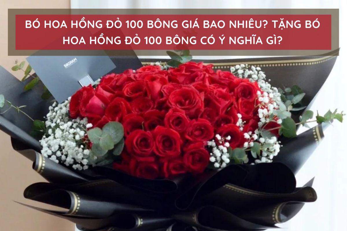 Tặng bó hoa hồng đỏ 100 bông có ý nghĩa gì?