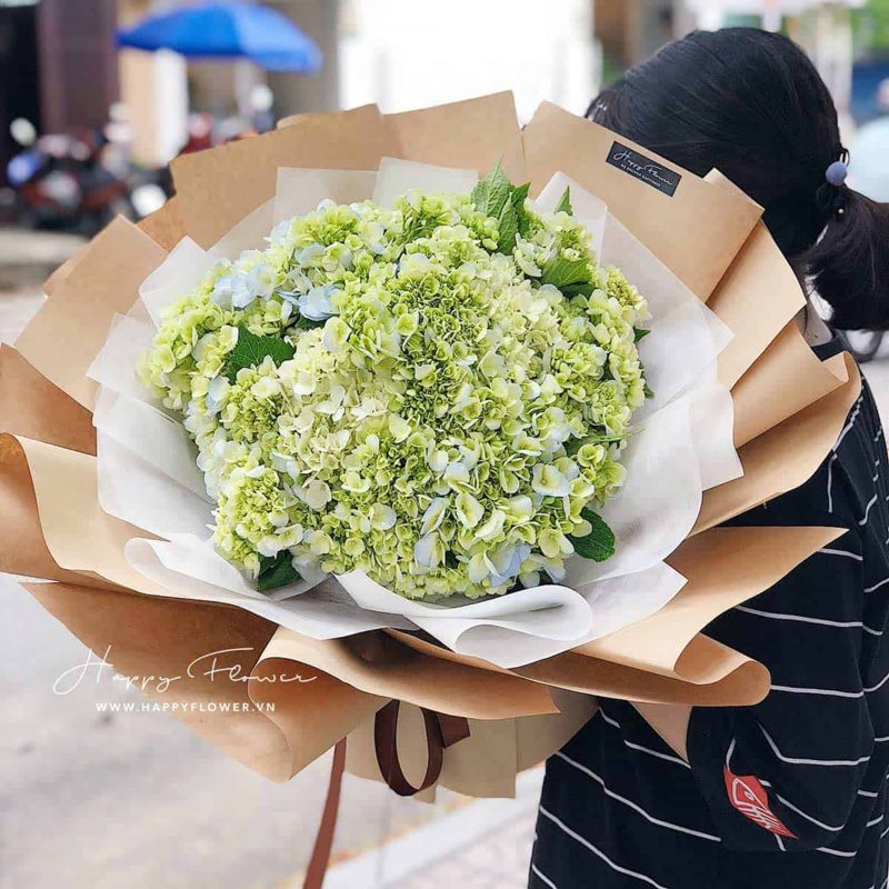 hoa cẩm tú cầu xanh với giấy gói đơn giản