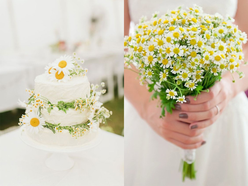 bó hoa cưới cầm tay cúc họa mi đơn giản