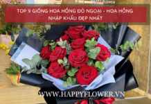 bó hoa hồng đỏ nhập ngoại trong giấy gói đen