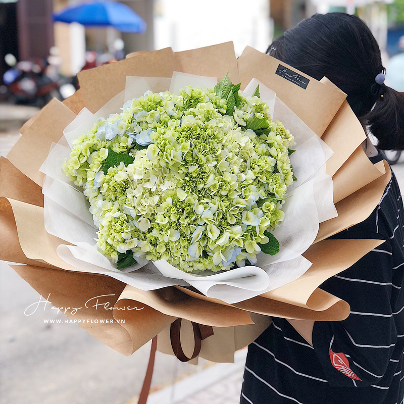 bó hoa cẩm tú cầu xanh lá