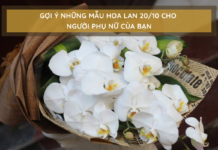 bó hoa lan hồ điệp màu trắng