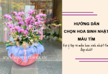 hoa sinh nhật màu tím đẹp và ý nghĩa