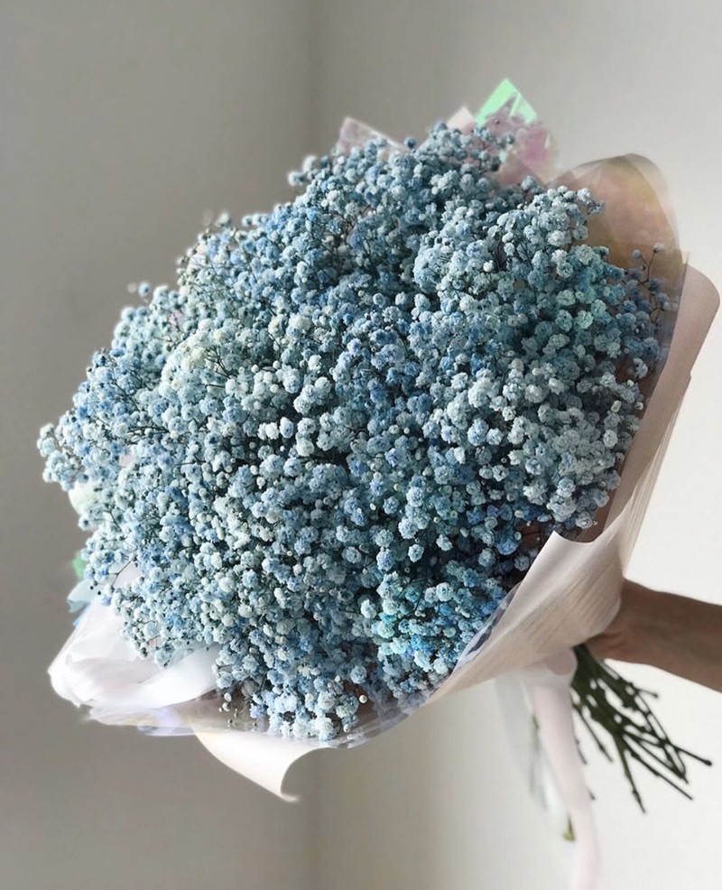 Bó hoa baby xanh nước biển nhập khẩu