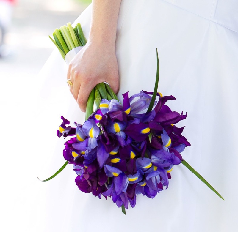 hoa cưới cầm tay hoa diên vỹ