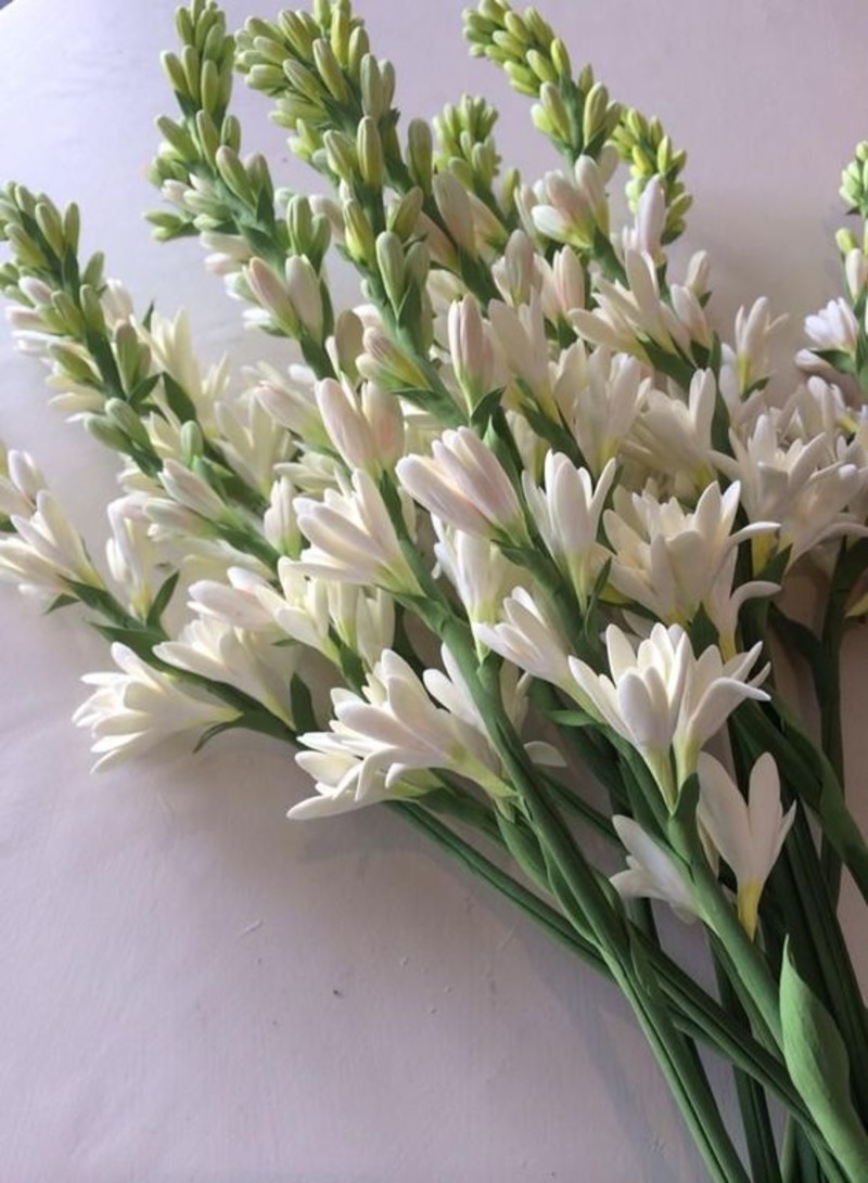 những cành hoa huệ trắng cho sinh nhật tháng 3