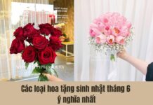 bó hoa hồng tặng sinh nhật tháng 6