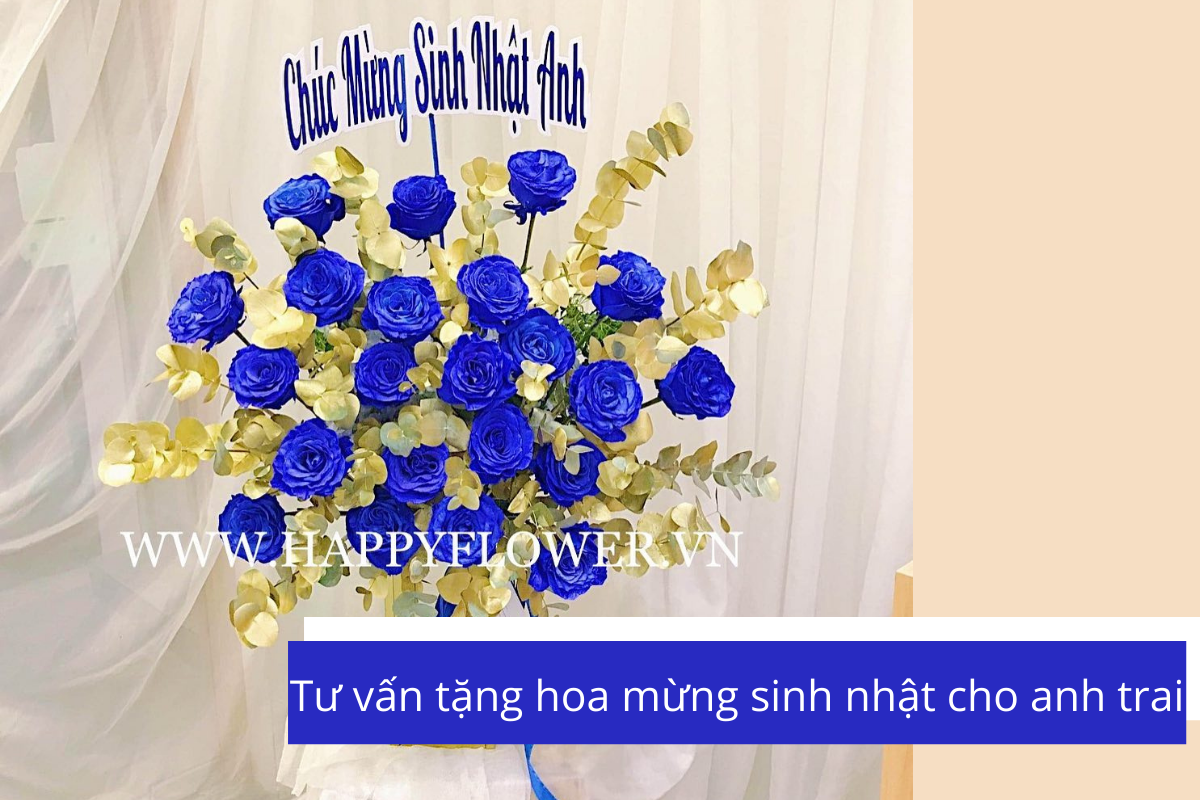 Hoa Sinh Nhật Đẹp Tặng Anh Trai Ngày Sinh Nhật Ý Nghĩa  CÔNG TY TNHH HOA  LAN TODA