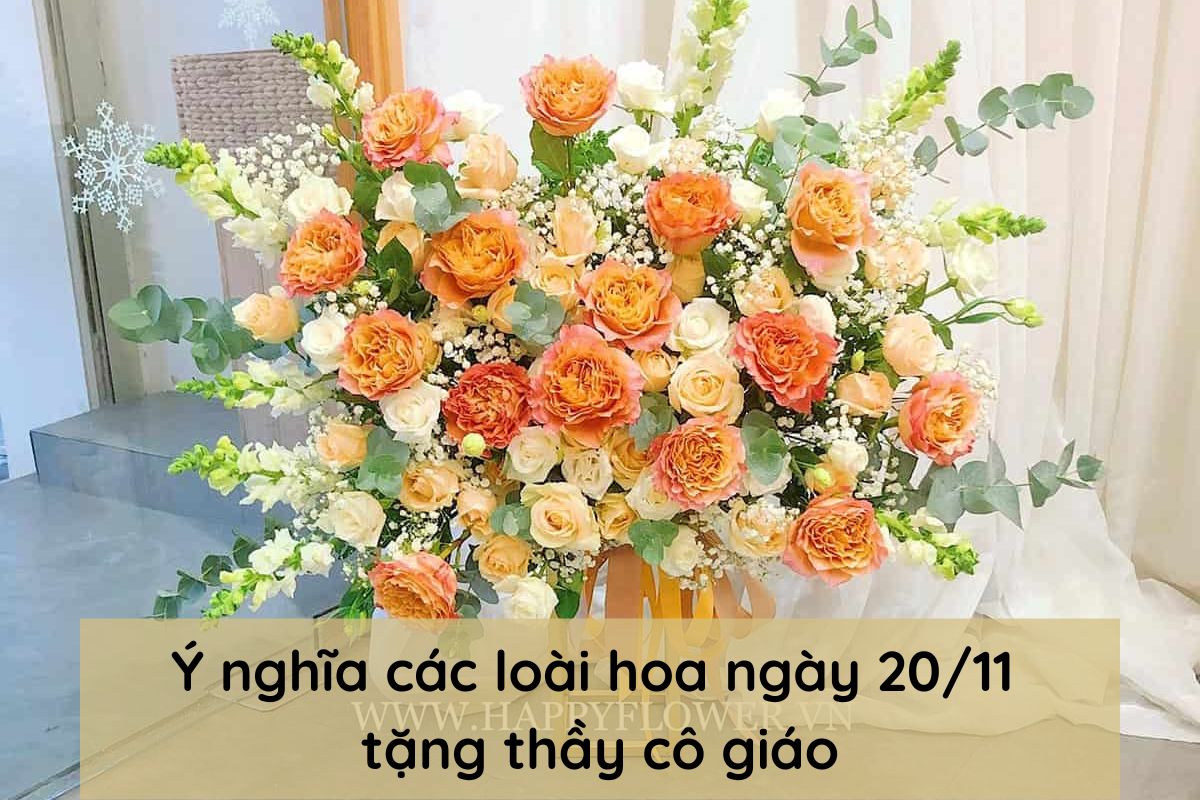 Ý Nghĩa Các Loài Hoa Ngày Nhà Giáo Việt Nam 20/11