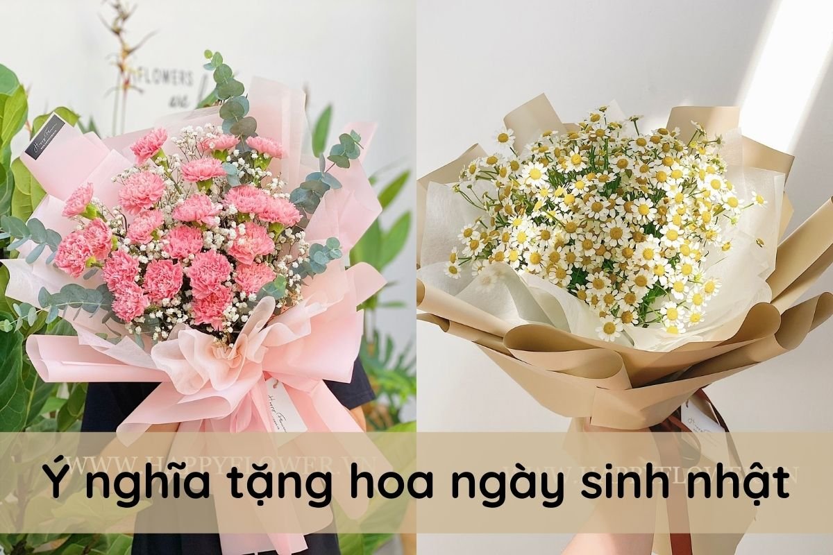 Ý nghĩa 33 loài Hoa tặng Sinh Nhật đẹp cho người ấy của bạn
